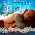 Tattooed Romance Anthology Model John Quinlan Book Cover #JohnQuinlan